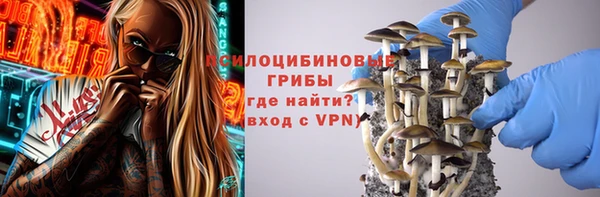 гашик Балахна